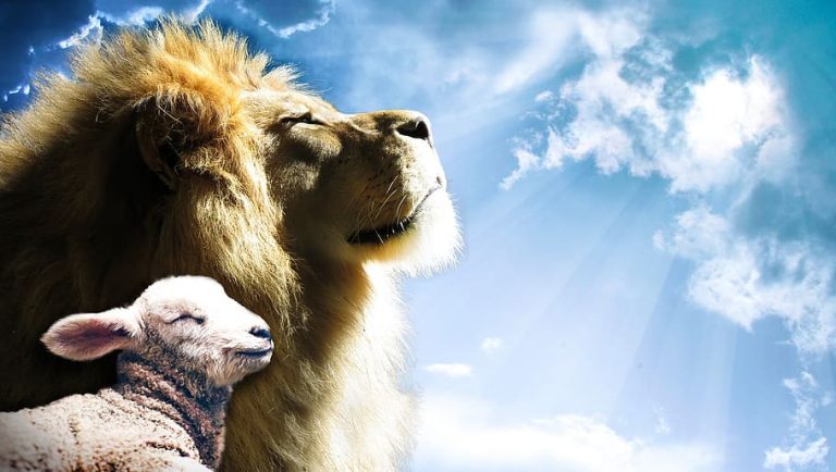 Biblical Animals:Times When God Used Animals to Accomplish His Purpose