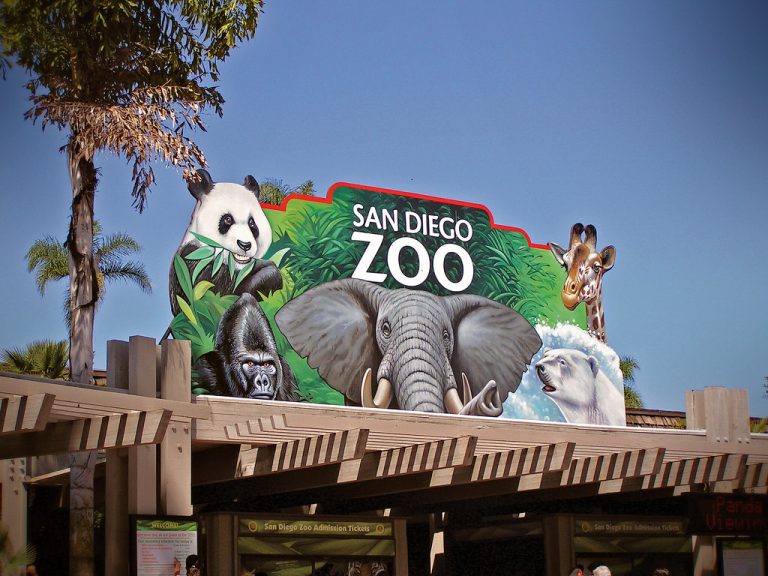 What Are the Best Zoos to Visit in 2022? (Part 2)
