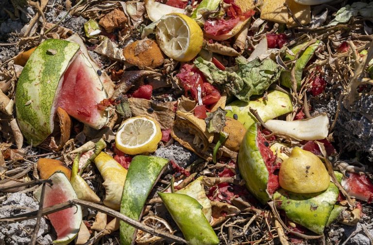 Zero Waste: 8 Food Wastes That Are Hardly Reused